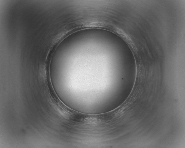 X0000073870298200608101517