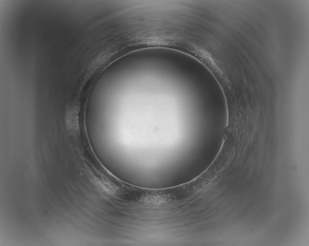 X0000073870299200608101517