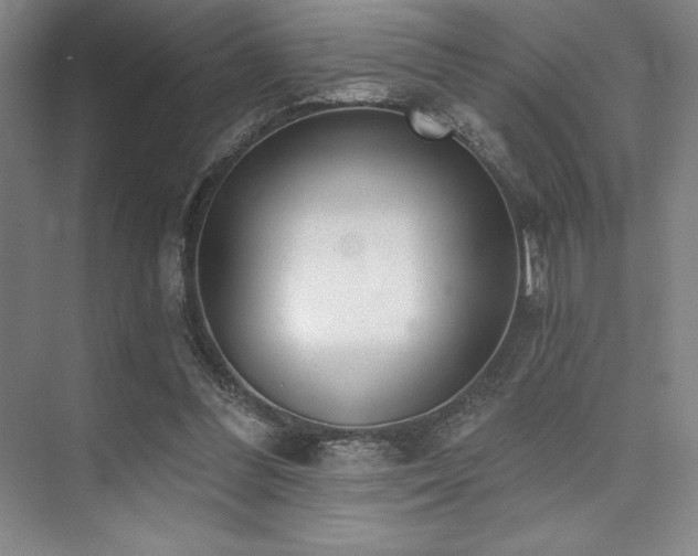 X0000073870300200608101517