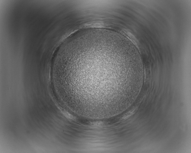 X0000073870301200608101517