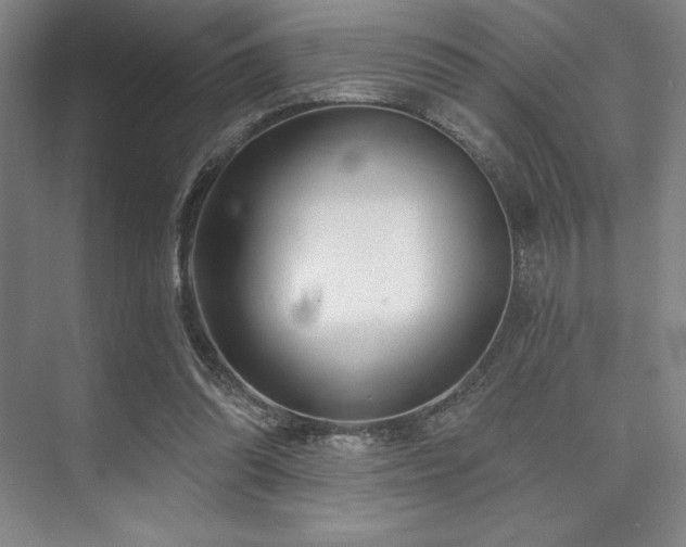 X0000073870302200608101517