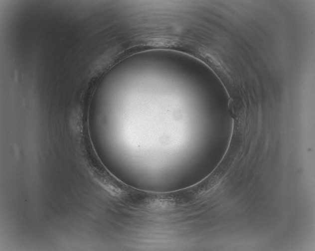 X0000073870303200608101516