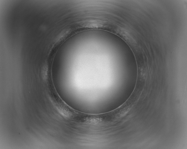 X0000073870304200608101516