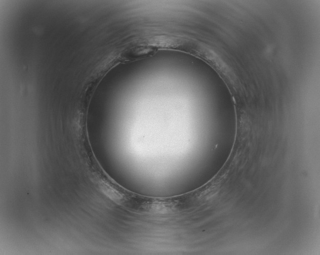 X0000073870305200608101516