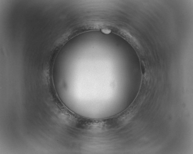 X0000073870306200608101516