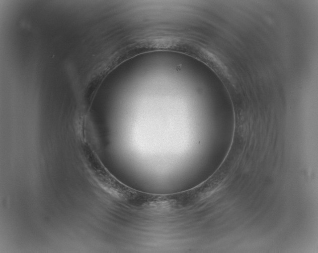 X0000073870307200608101516