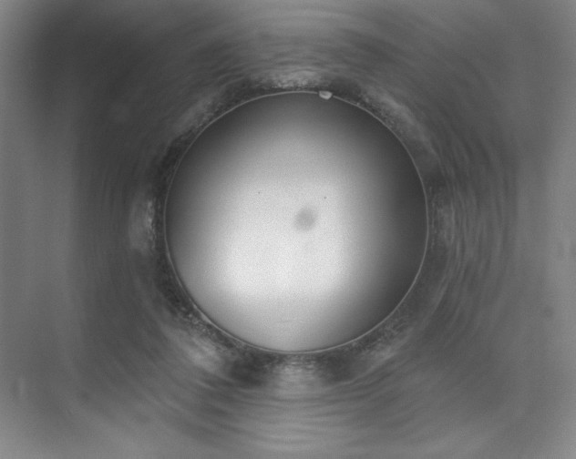 X0000073870308200608101516