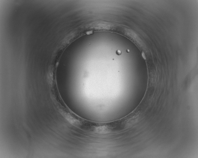 X0000073870309200608101516