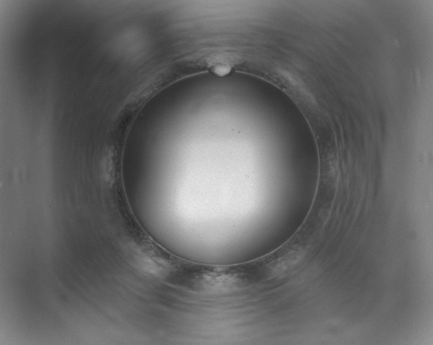 X0000073870311200608101516