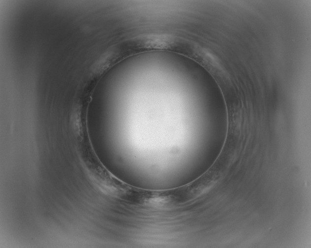 X0000073870312200608101516