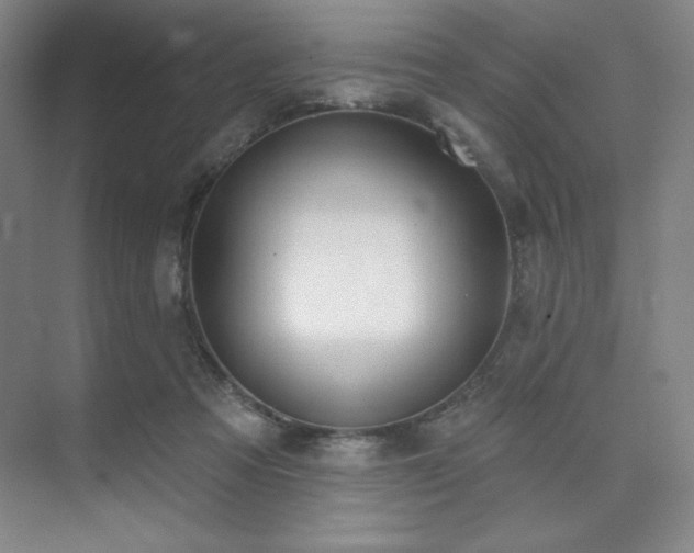 X0000073870313200608101516