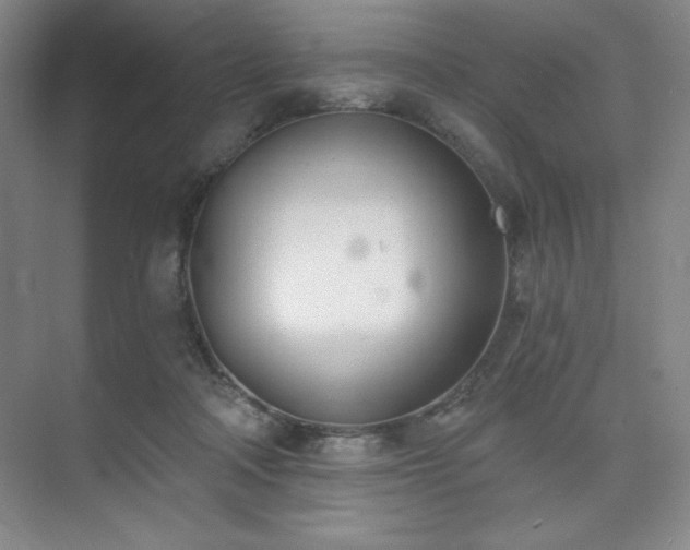 X0000073870314200608101516