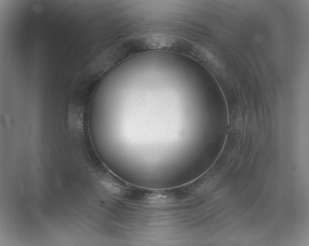 X0000073870315200608101516