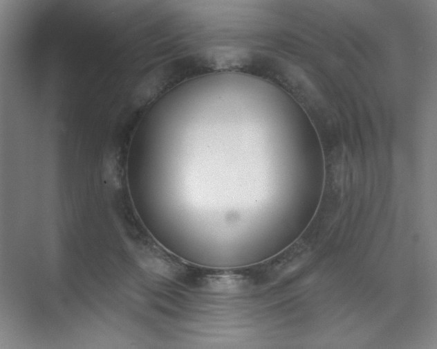 X0000073870316200608101516