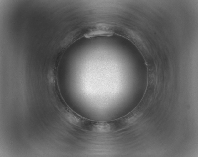 X0000073870317200608101516