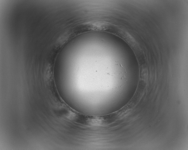 X0000073870318200608101516