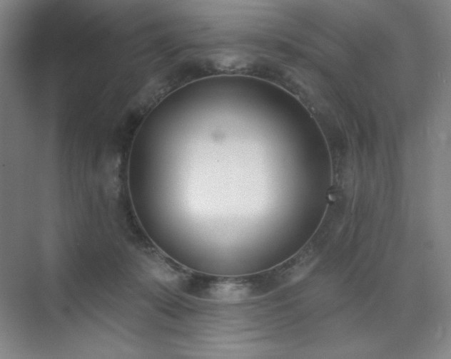 X0000073870319200608101516