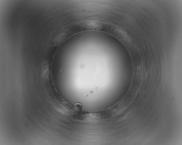 X0000073870320200608101516