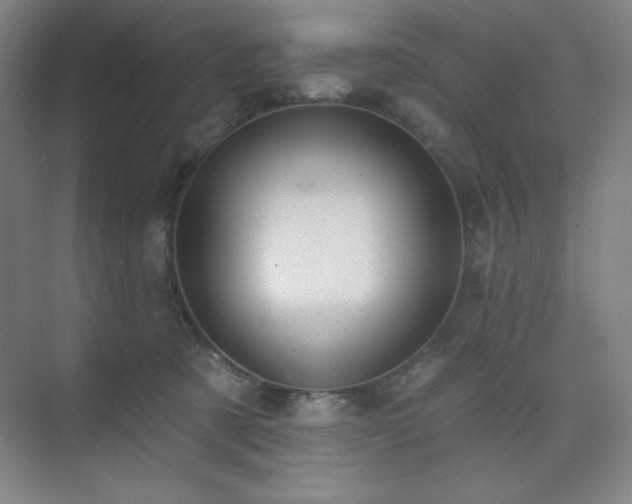 X0000073870321200608101516