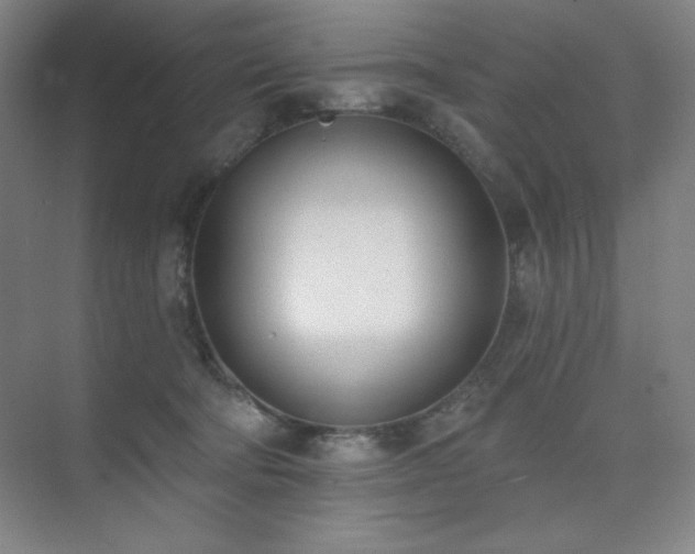 X0000073870322200608101516