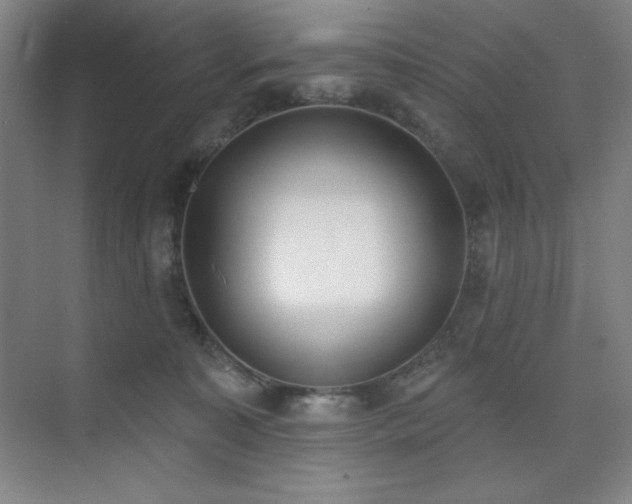 X0000073870323200608101516