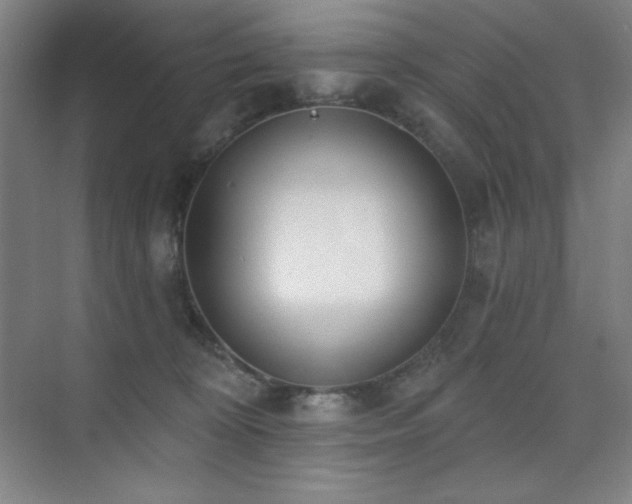 X0000073870324200608101516