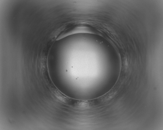 X0000073870325200608101516