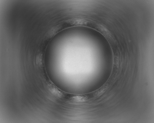 X0000073870326200608101516