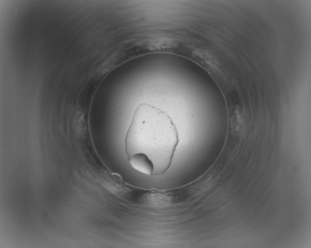 X0000073870327200608101516