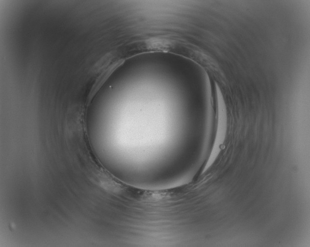 X0000073870329200608101516