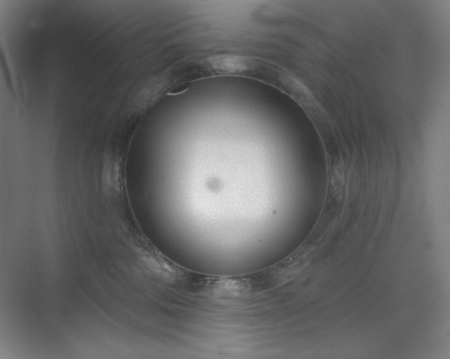 X0000073870330200608101516