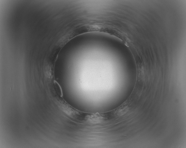 X0000073870331200608101516