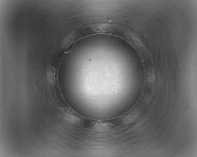 X0000073870332200608101516