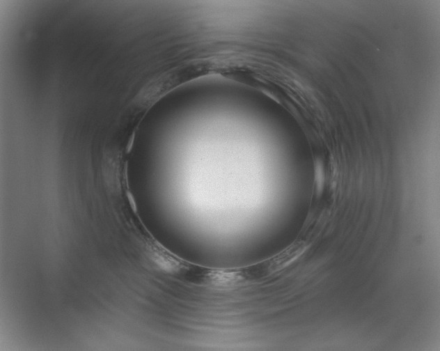 X0000073870333200608101516