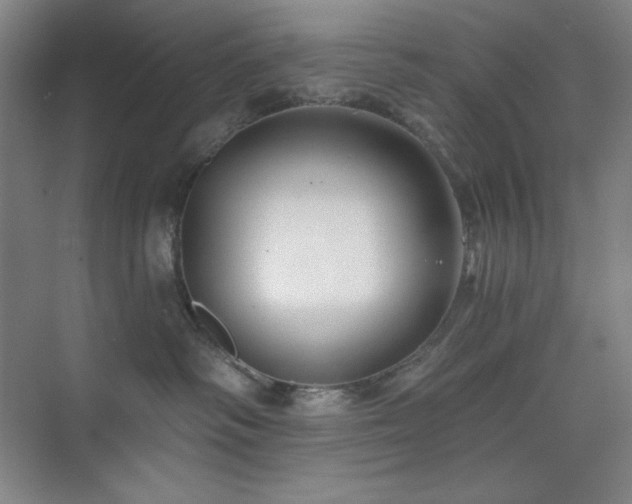 X0000073870334200608101516