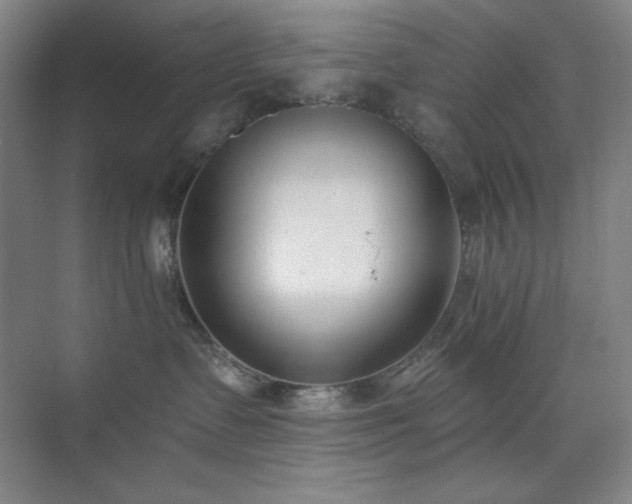 X0000073870335200608101516