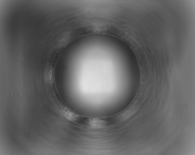 X0000073870336200608101516