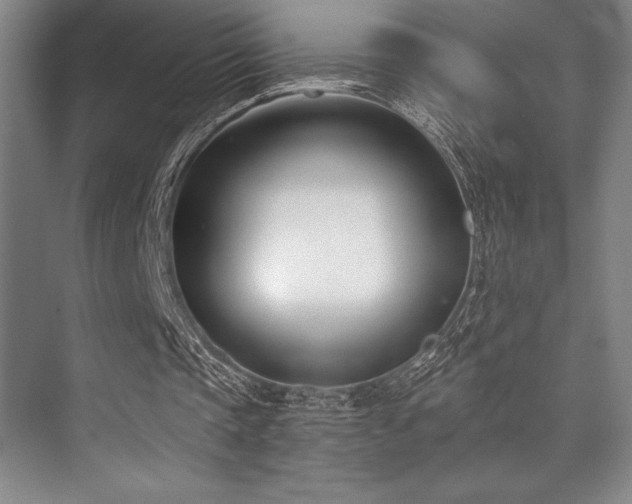 X0000073870337200608101515