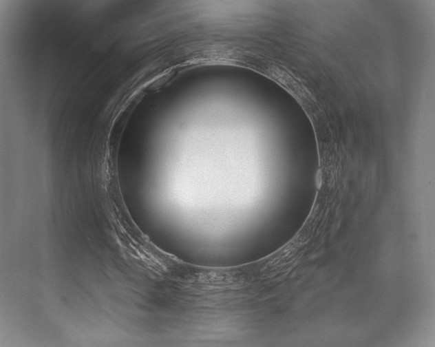 X0000073870338200608101515