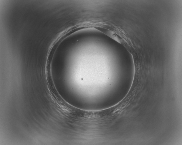 X0000073870340200608101515