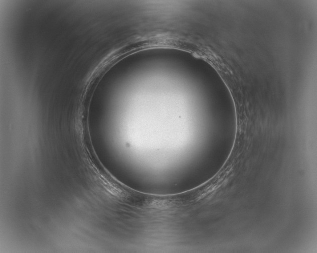 X0000073870341200608101515