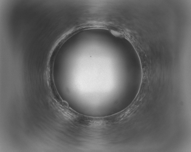 X0000073870342200608101515