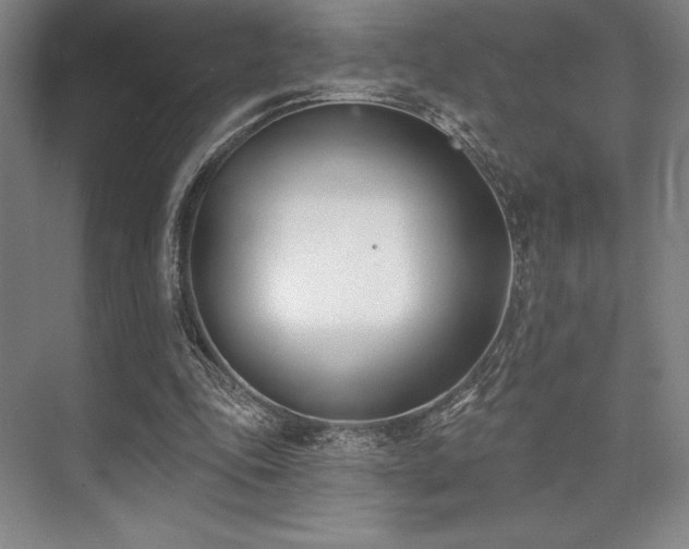 X0000073870343200608101515