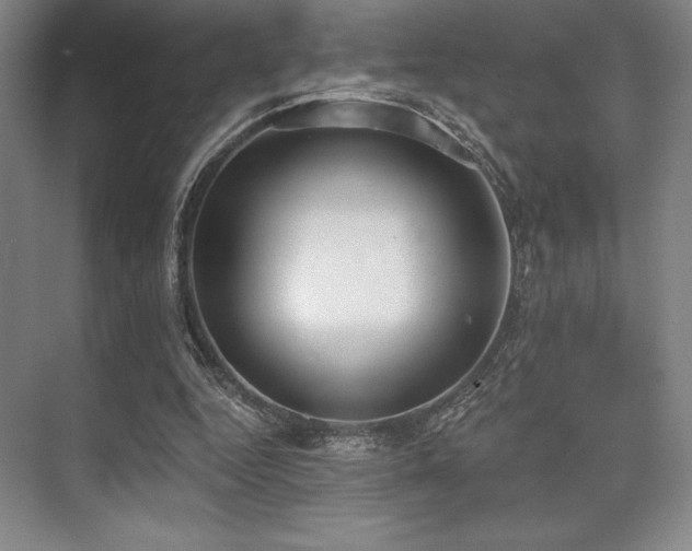 X0000073870344200608101515