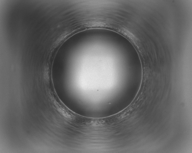 X0000073870345200608101515