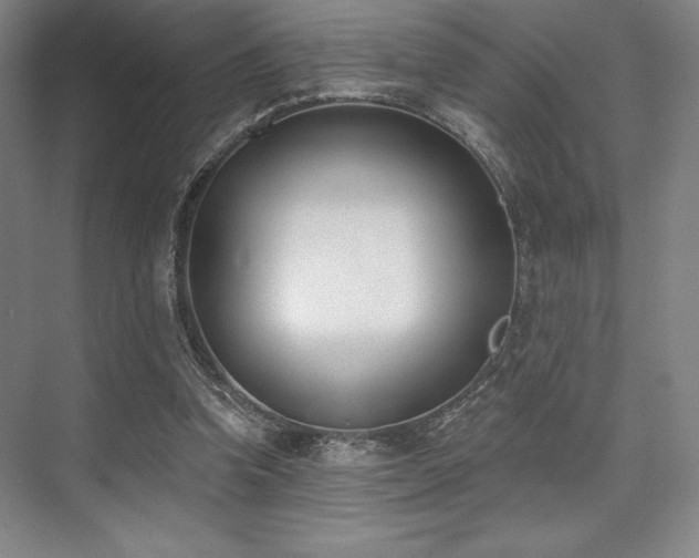 X0000073870346200608101515