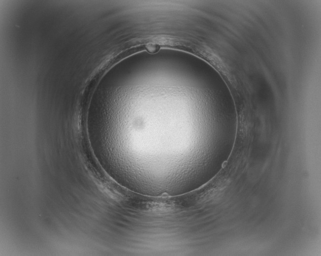 X0000073870347200608101515