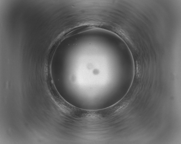 X0000073870348200608101515