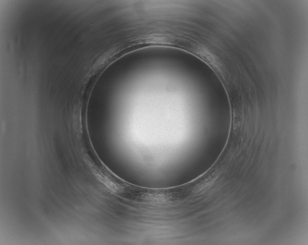 X0000073870349200608101515