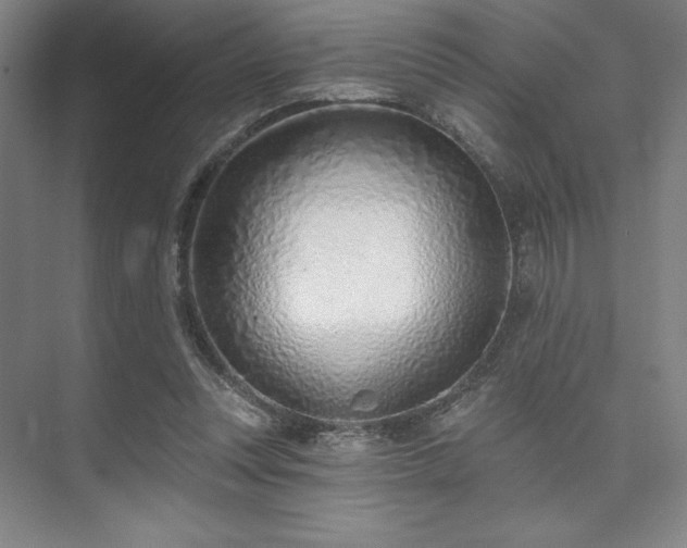 X0000073870351200608101515